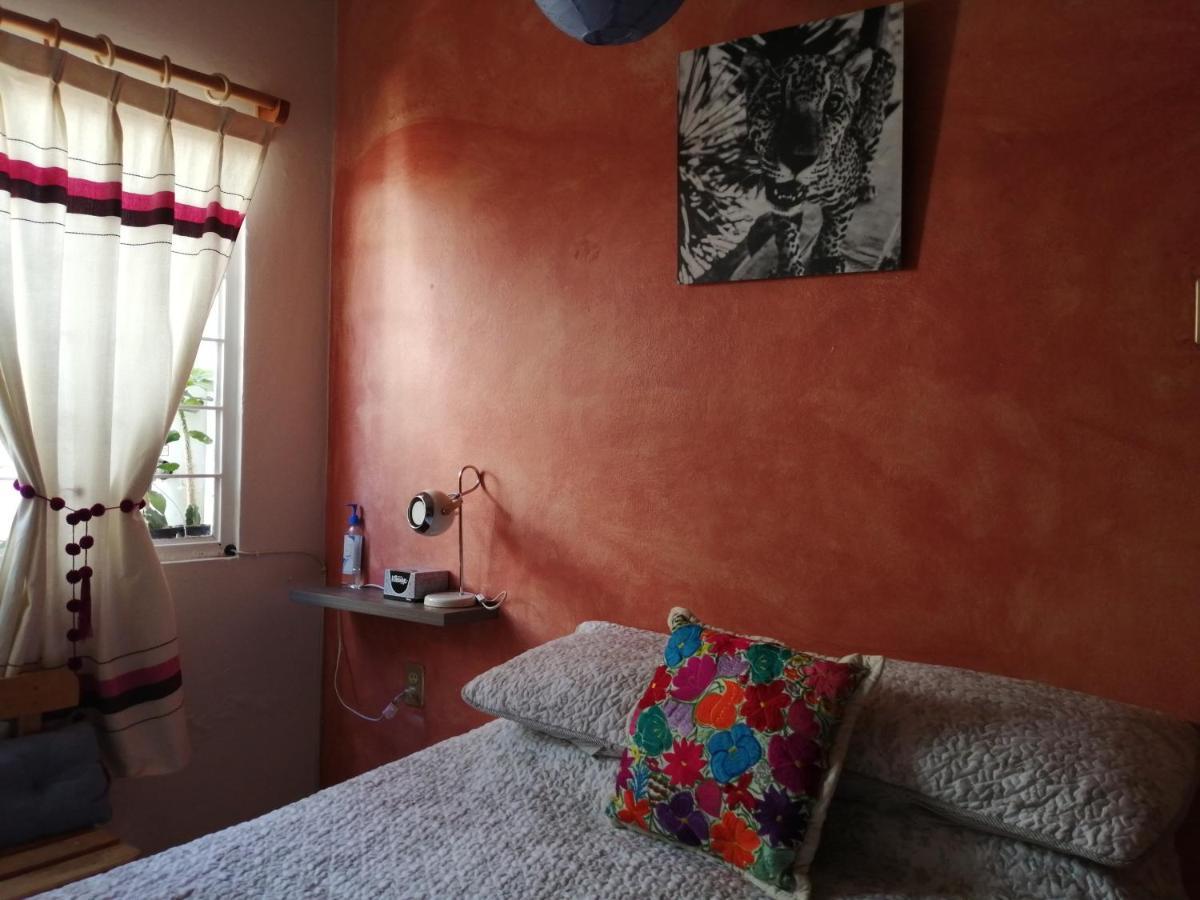 Вилла Casa Mixteca Santo Domingo Oaxaca Экстерьер фото