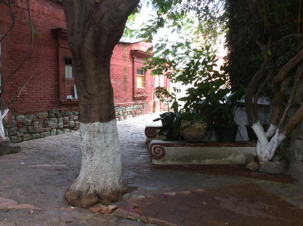 Вилла Casa Mixteca Santo Domingo Oaxaca Экстерьер фото